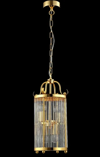 Светильник подвесной TADEO SP4 D200 GOLD/TRANSPARENTE Crystal Lux прозрачный 4 лампы, основание золотое в стиле современный  фото 3